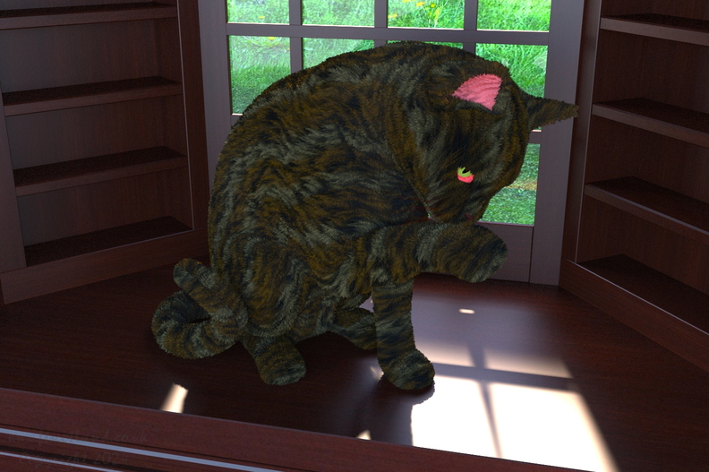 cat-in-window-ff2-006.jpg
